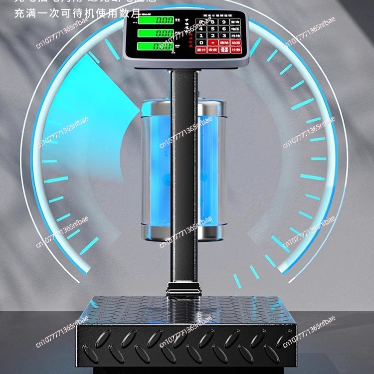 100kg 300kg Electronic Platfor - Diy Electronics Market recensione e prezzo