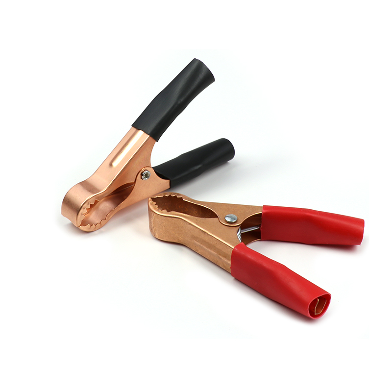 2/3/10 Pairs Battery Clip for  - Crocodile Clip Set recensione e prezzo