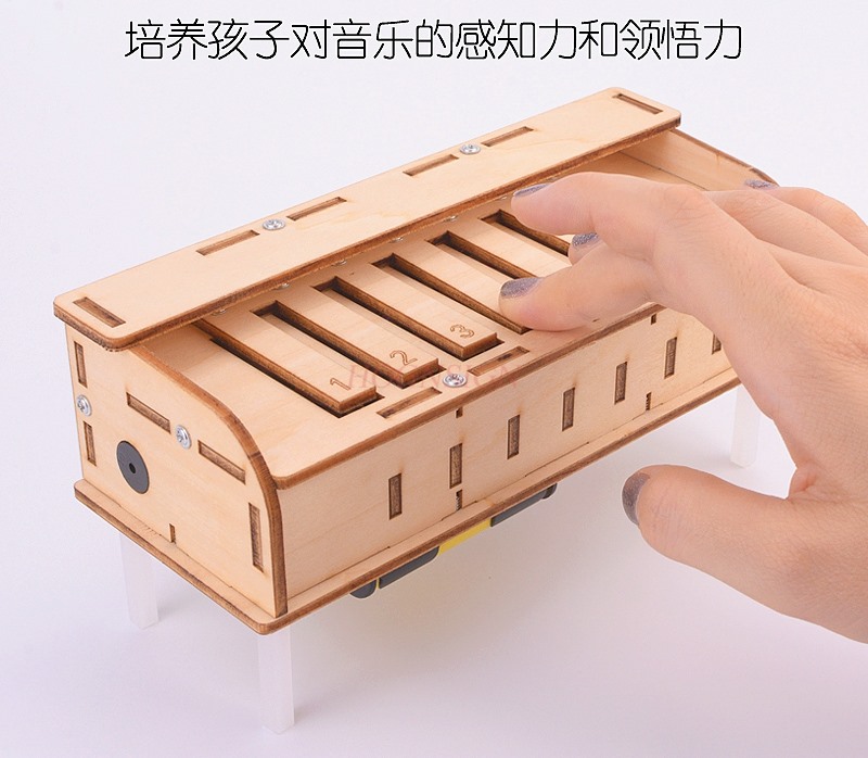 Science and technology small p - Homemade Diy Electronics recensione e prezzo